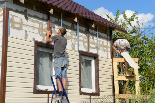 Best Brick Veneer Siding  in Sioux Center, IA